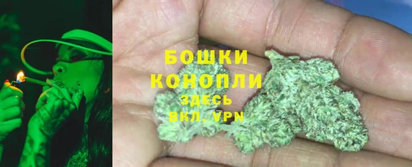 шишки Алексеевка