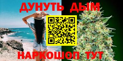 a pvp Камышлов