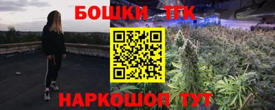 a pvp Камышлов