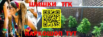 a pvp Камышлов