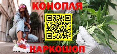 a pvp Камышлов