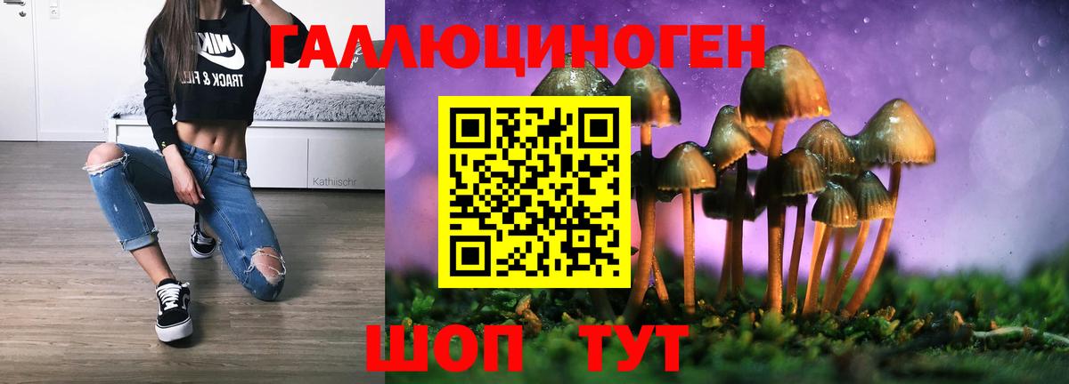 Галлюциногенные грибы Psilocybe Арсеньев