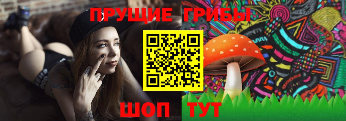 Арсеньев  Галлюциногенные грибы ЛСД  Вход с VPN 