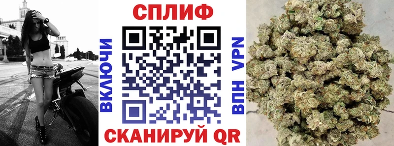 наркота  Арсеньев  Бошки Шишки сатива 